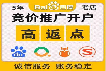 实战技巧：竞价推广案例解析与优化策略